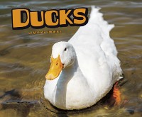 Cover Ducks