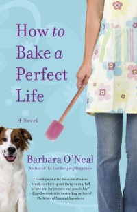 Cover How to Bake a Perfect Life