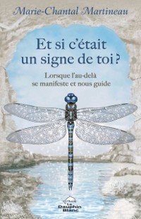 Cover Et si c'etait un signe de toi?