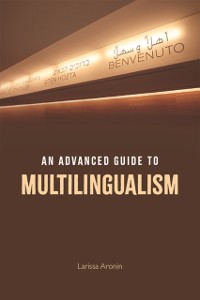 Cover Advanced Guide to Multilingualism