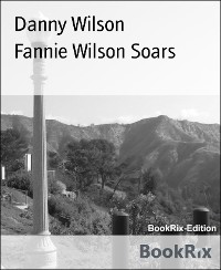 Cover Fannie Wilson Soars
