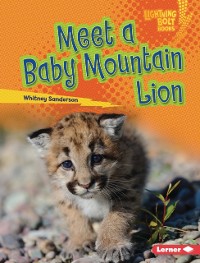 Cover Meet a Baby Mountain Lion