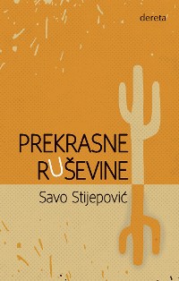 Cover Prekrasne ruševine