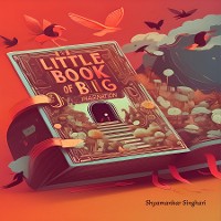 Cover The Little Book of Big Imagination