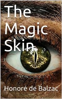 Cover The Magic Skin