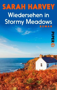 Cover Wiedersehen in Stormy Meadows