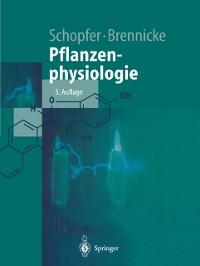 Cover Pflanzenphysiologie