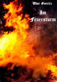 Cover Im Feuersturm