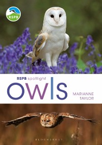 Cover RSPB Spotlight Owls