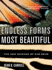Cover Endless Forms Most Beautiful: The New Science of Evo Devo