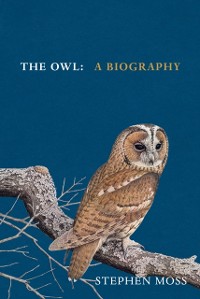 Cover Owl
