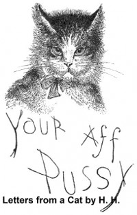 Cover Letters from a Cat