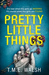 Cover PRETTY LITTLE THINGS EB