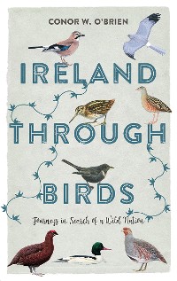 Cover Ireland Through Birds