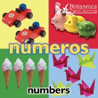 Cover Numeros (Numbers)
