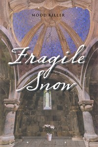 Cover Fragile Snow