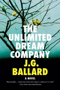 Cover The Unlimited Dream Company: A Novel