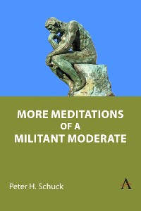 Cover More Meditations of a Militant Moderate