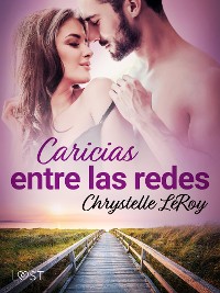 Cover Caricias entre las redes – una novela erótica