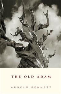 Cover The Old Adam
