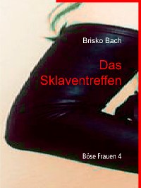 Cover Das Sklaventreffen