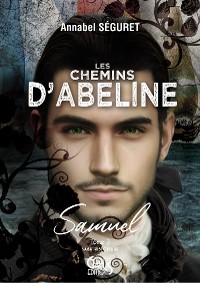 Cover Les chemins d'Abeline - Tome 3