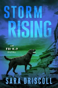 Cover Storm Rising