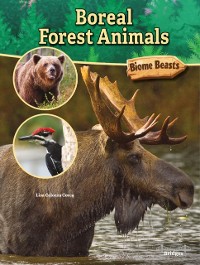 Cover Boreal Forest Animals