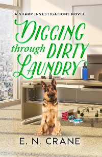 Cover Digging Through Dirty Laundry