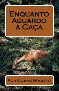 Cover Enquanto Aguardo a Caça