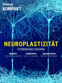 Cover Spektrum Kompakt - Neuroplastizität