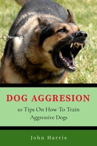 Cover Dog Aggression