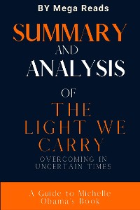 Cover Summary of The Light We Carry