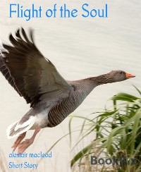 Cover Flight of the Soul