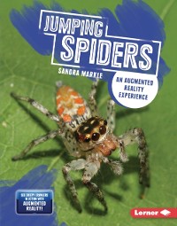 Cover Jumping Spiders