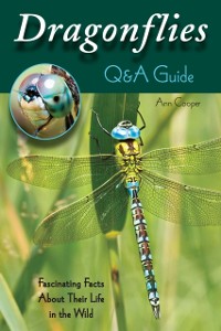 Cover Dragonflies: Q&A Guide