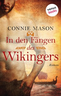 Cover In den Fängen des Wikingers