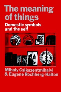 Cover Meaning of Things