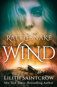 Cover Rattlesnake Wind