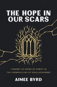 Cover Hope in Our Scars