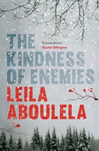 Cover Kindness of Enemies