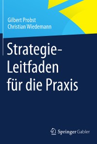 Cover Strategie-Leitfaden für die Praxis