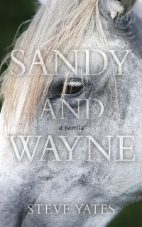 Cover Sandy and Wayne