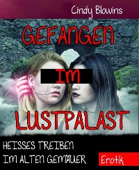 Cover Gefangen im Lustpalast