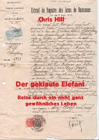 Cover Der geklaute Elefant