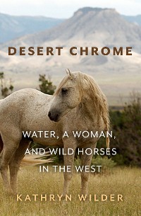 Cover Desert Chrome