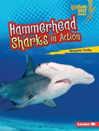 Cover Hammerhead Sharks in Action