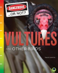 Cover Vultures and Other Birds