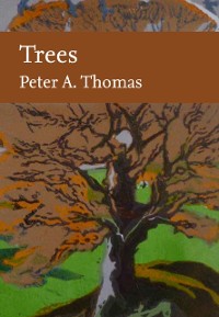 Cover Trees