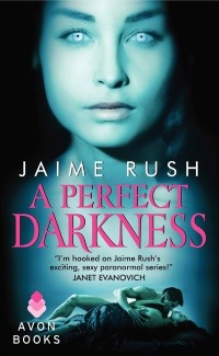 Cover Perfect Darkness